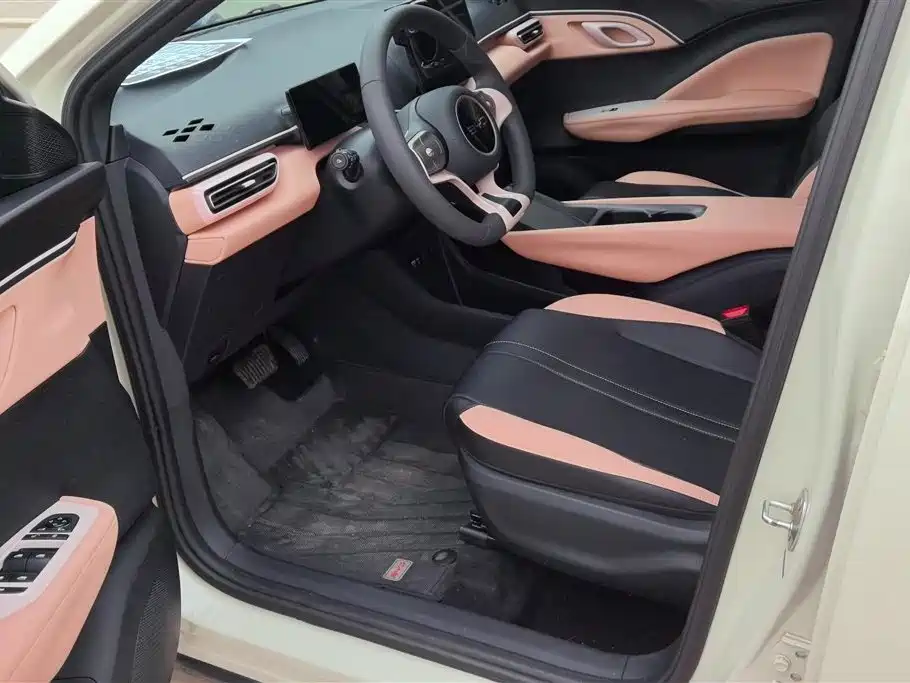 BYD Seagull 2025 Smart Drive Edition 305km Vitality Version фото 9