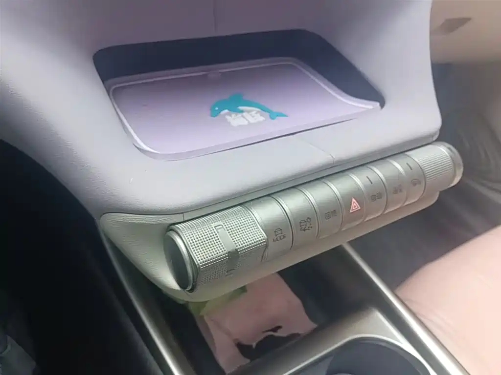 BYD Dolphin 2023 420km Fashion Edition фото 14