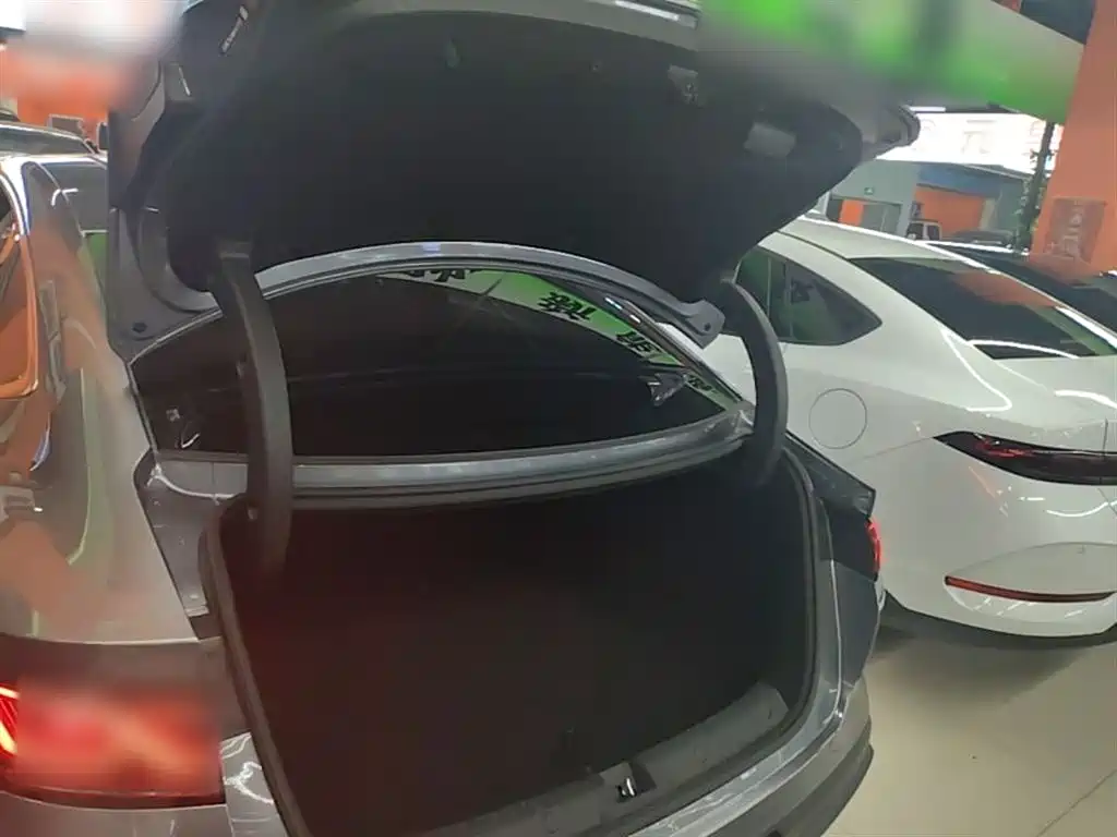 BYD Qin L 2024 DM-i 120KM Superior Edition фото 19
