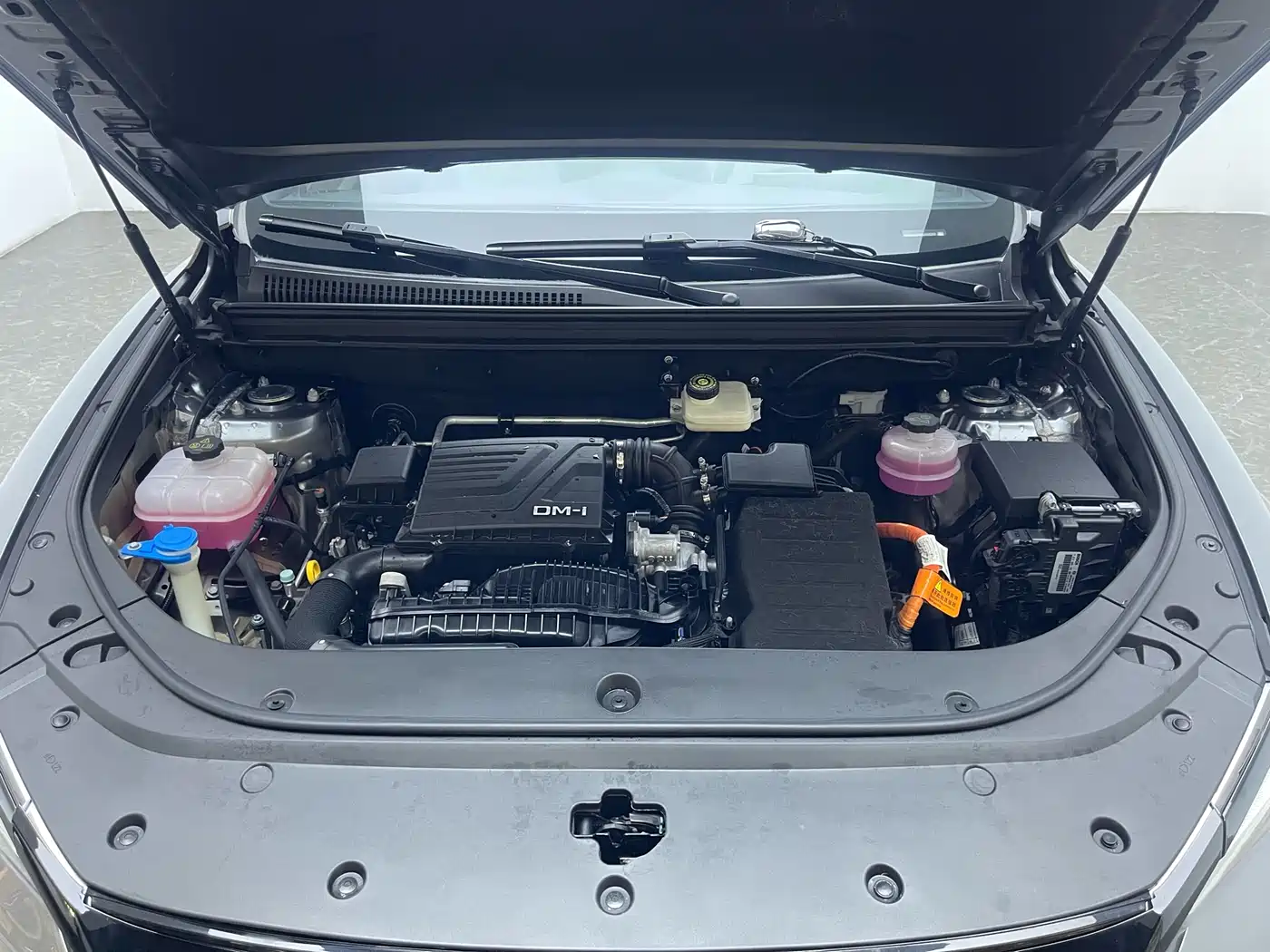 BYD Song Pro New Energy 2024 Glory Edition DM-i 110KM Surpassing фото 16