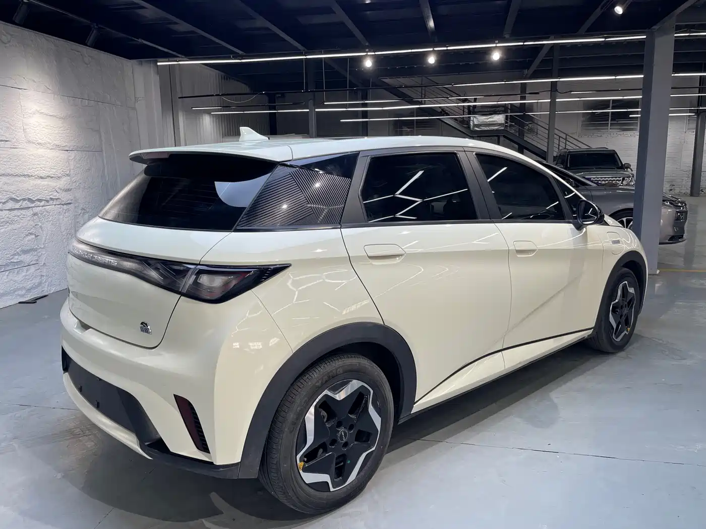 BYD Dolphin 2021 Model 405km Fashion Edition фото 16