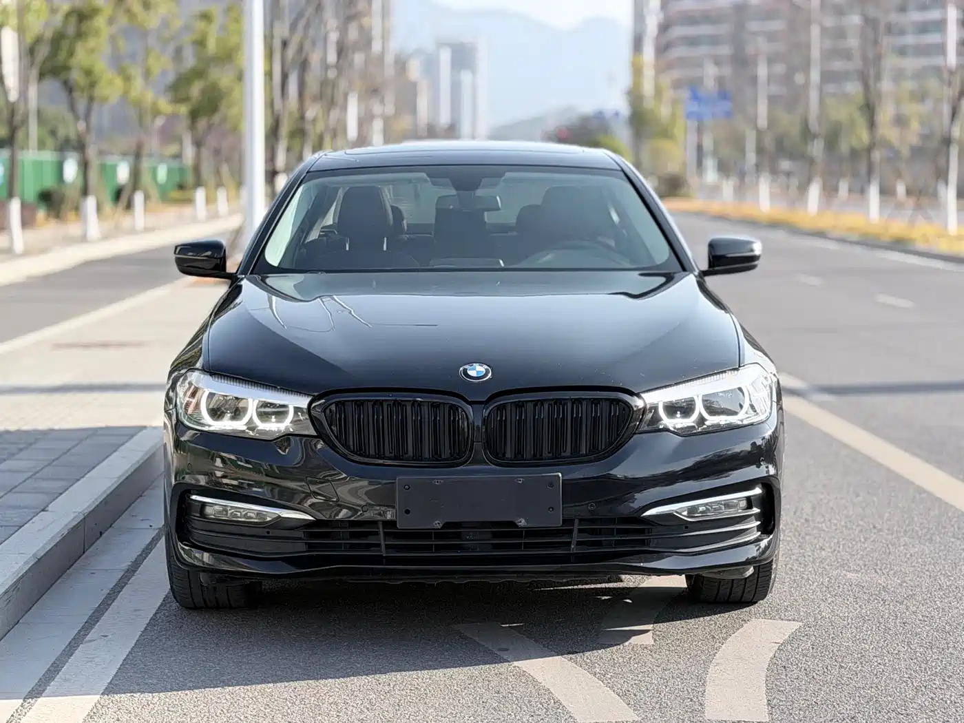 BMW 5 Series 2018 528Li Launch Special Edition фото 2