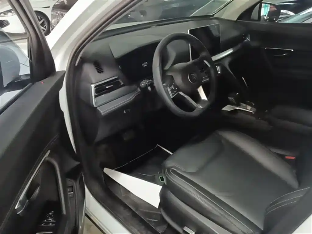 BYD Song Pro 2019 1.5T Automatic Premium фото 16