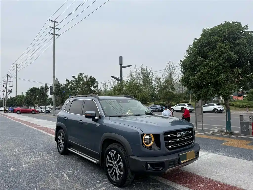 Haval Big Dog 2021 1.5T DCT 2WD Border Collie Edition фото 2