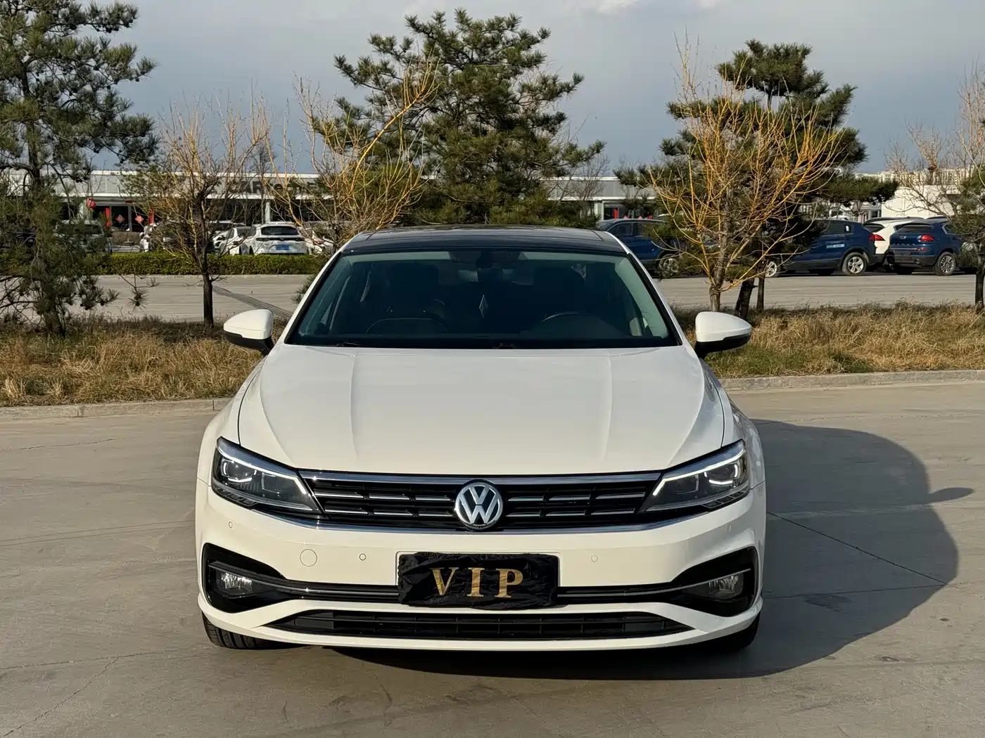 Volkswagen Lamando 2019 280TSI DSG Luxury Edition China VI фото 2