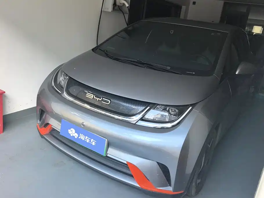 BYD Dolphin 2021 405km Freedom Edition
