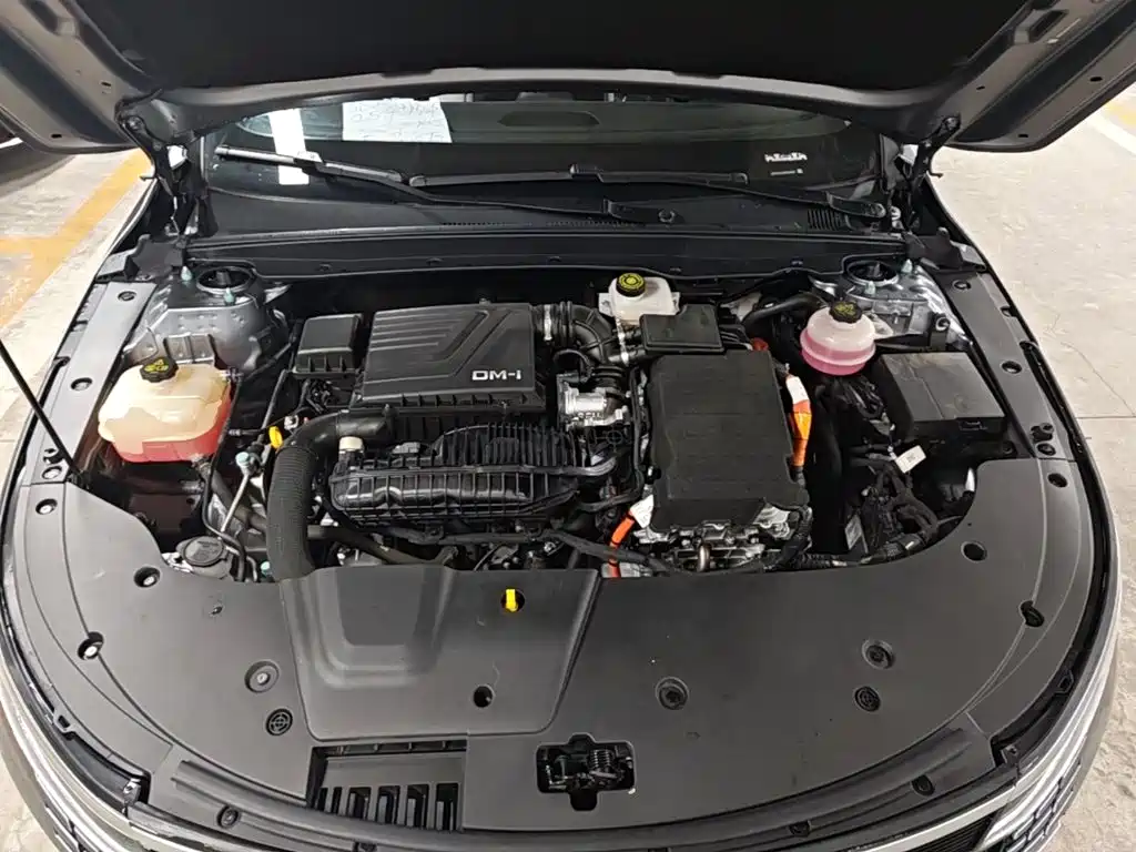 BYD Destroyer 05 2025 2024 Glory Edition DM-i 55KM Luxury