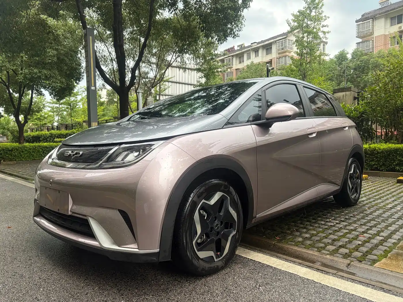 BYD Dolphin 2021 2021 Model 405km Fashion Edition