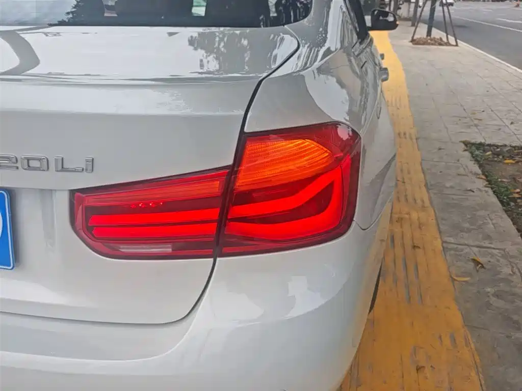BMW 3 Series 2019 320Li Fashion Type фото 8