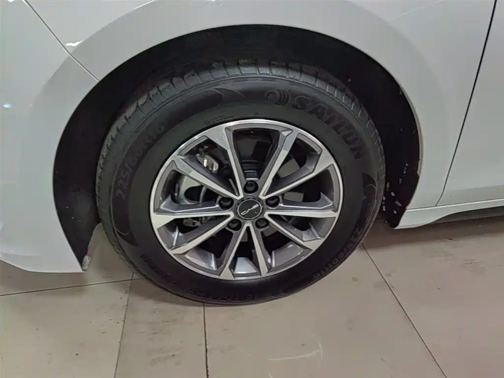 BYD Destroyer 05 2024 Glory Edition DM-i 55KM Luxury фото 23