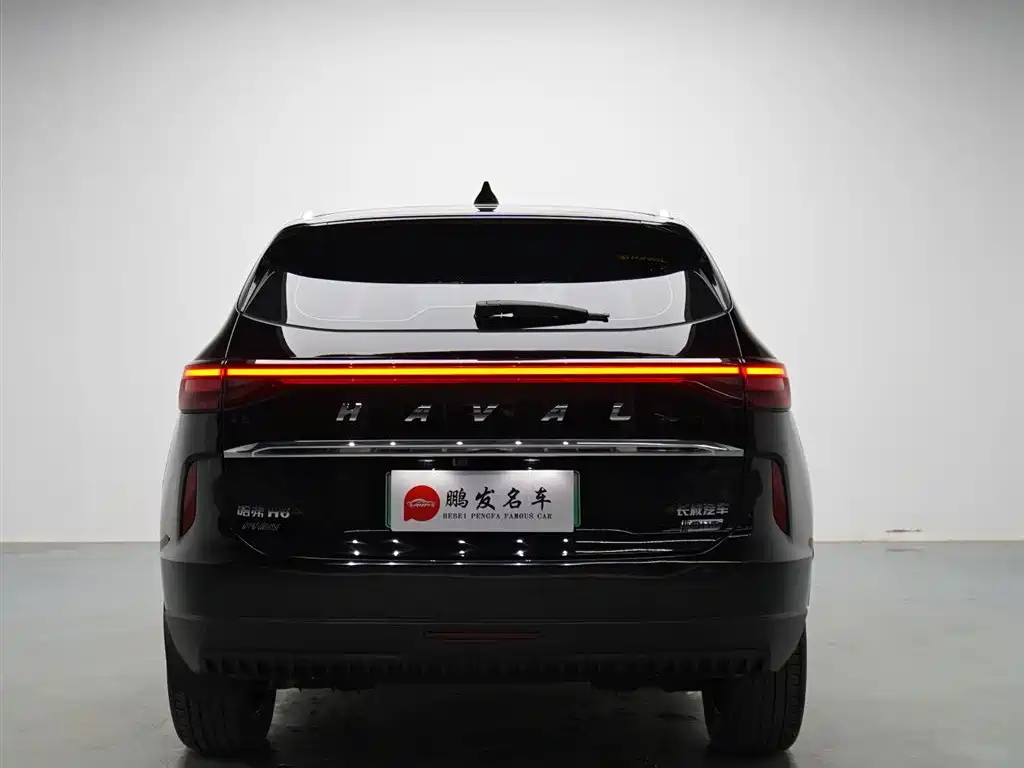 Haval H6 New Energy 2023 DHT-PHEV 110KM Smooth Edition фото 14