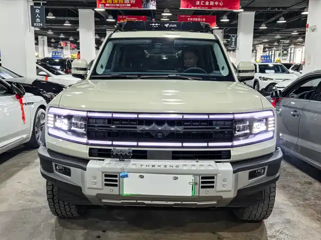 fang-cheng-bao leopard-5