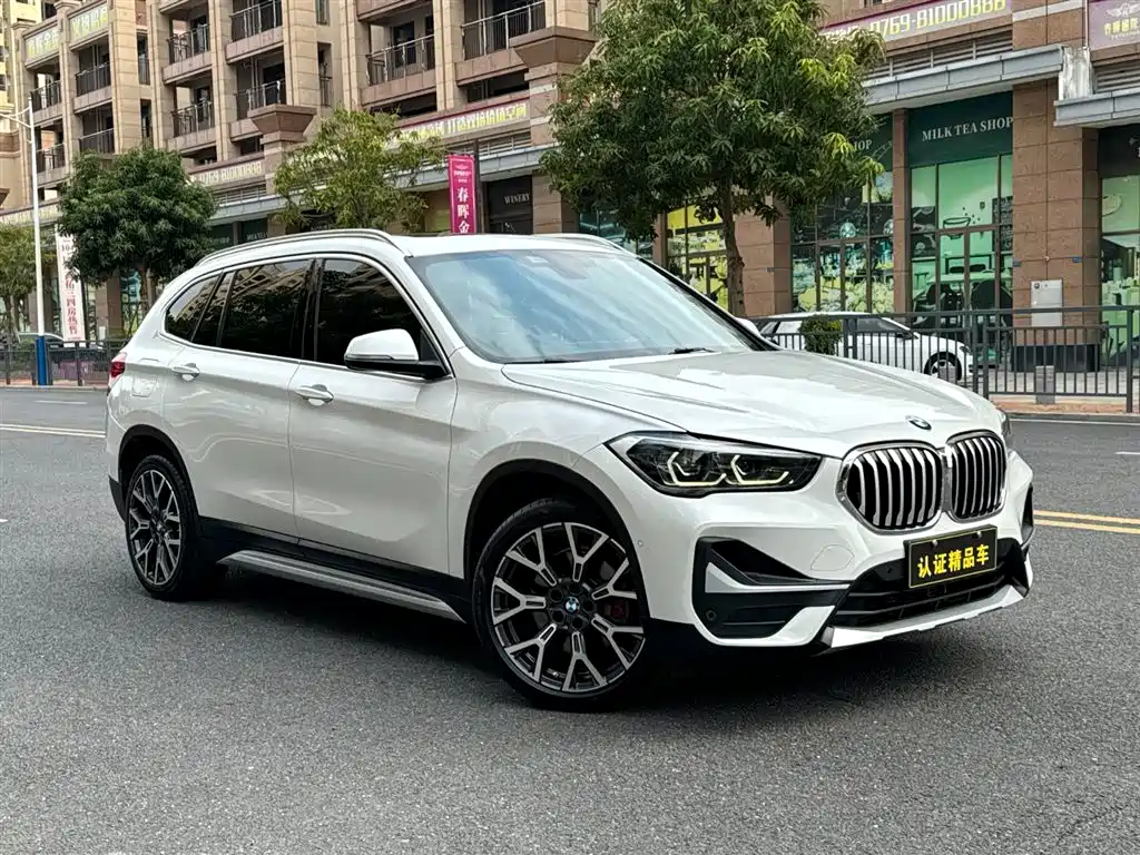 BMW X1 2020 xDrive25Li Premium Edition фото 3