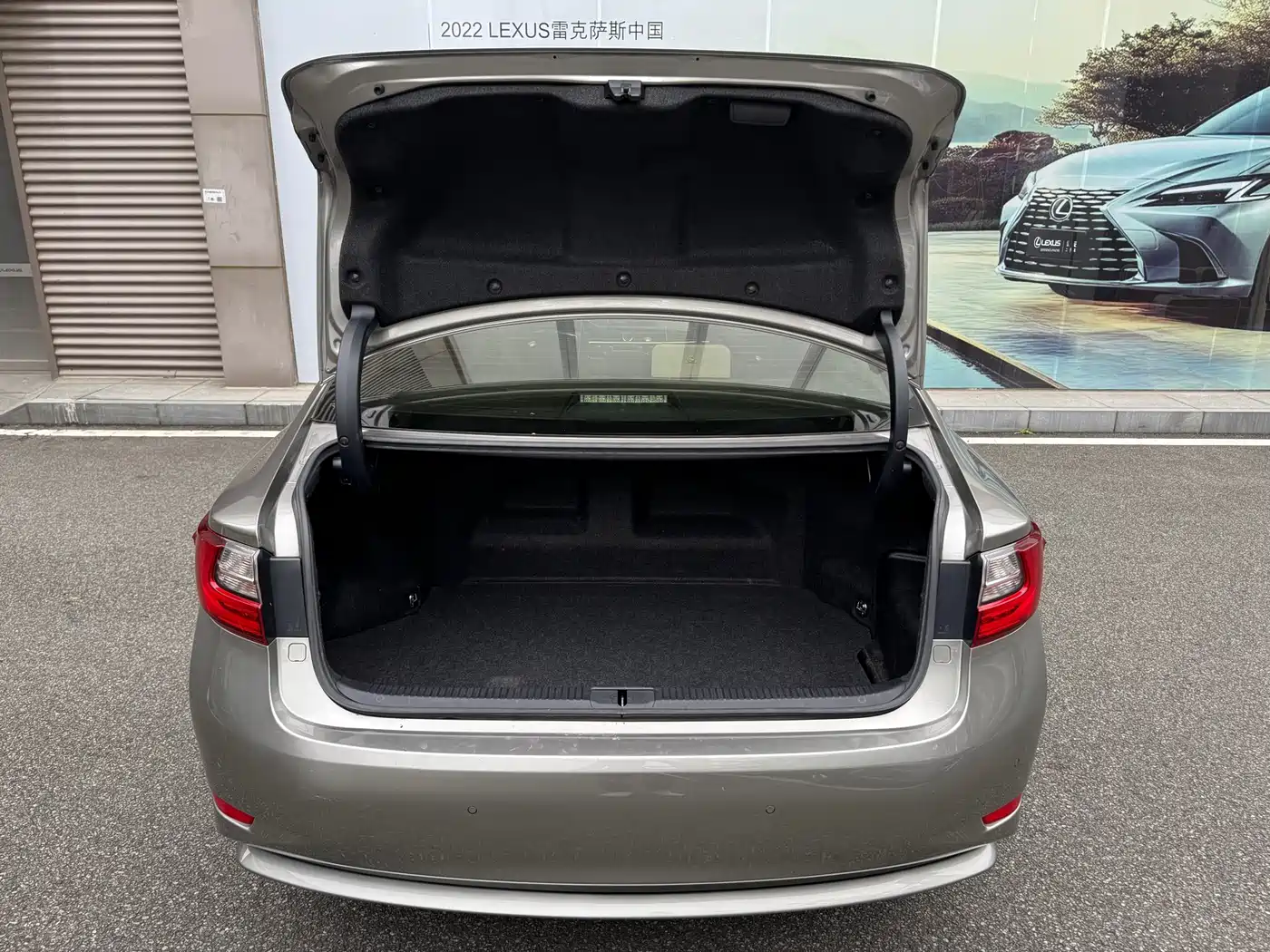 Lexus ES 2015 300h Comfort Edition фото 17