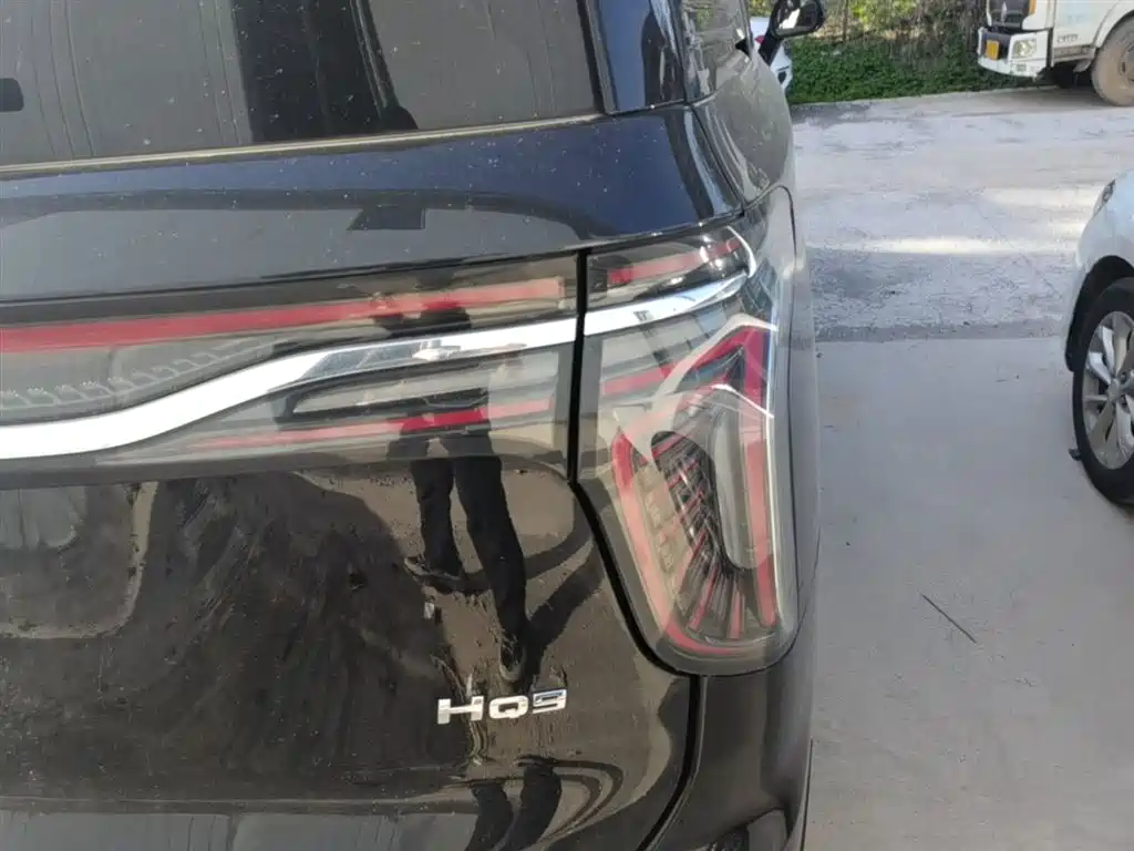 Hongqi HQ9 2023 2.0T Smart Connect Flag Enjoy Edition фото 8