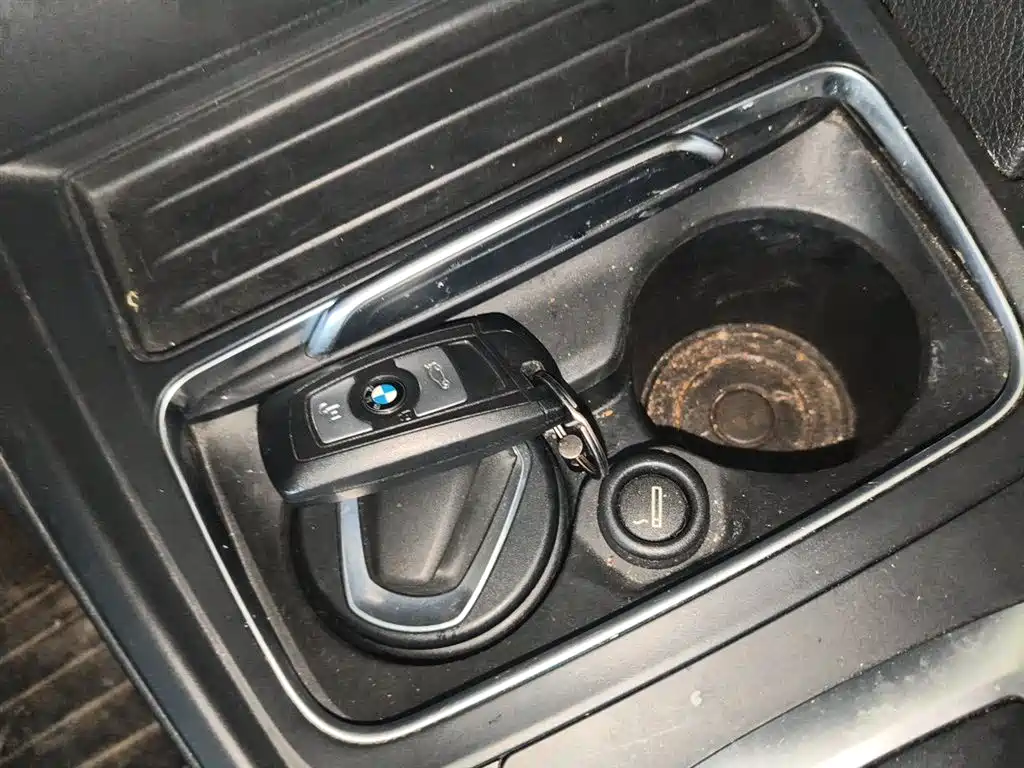 BMW 3 Series 2018 320Li Fashion Style фото 12