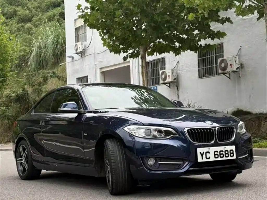 BMW 2 Series (Import) 2014 220i Leading фото 2