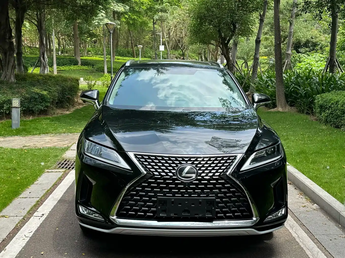 Lexus RX 2020 300 2WD Elite Edition China VI фото 2