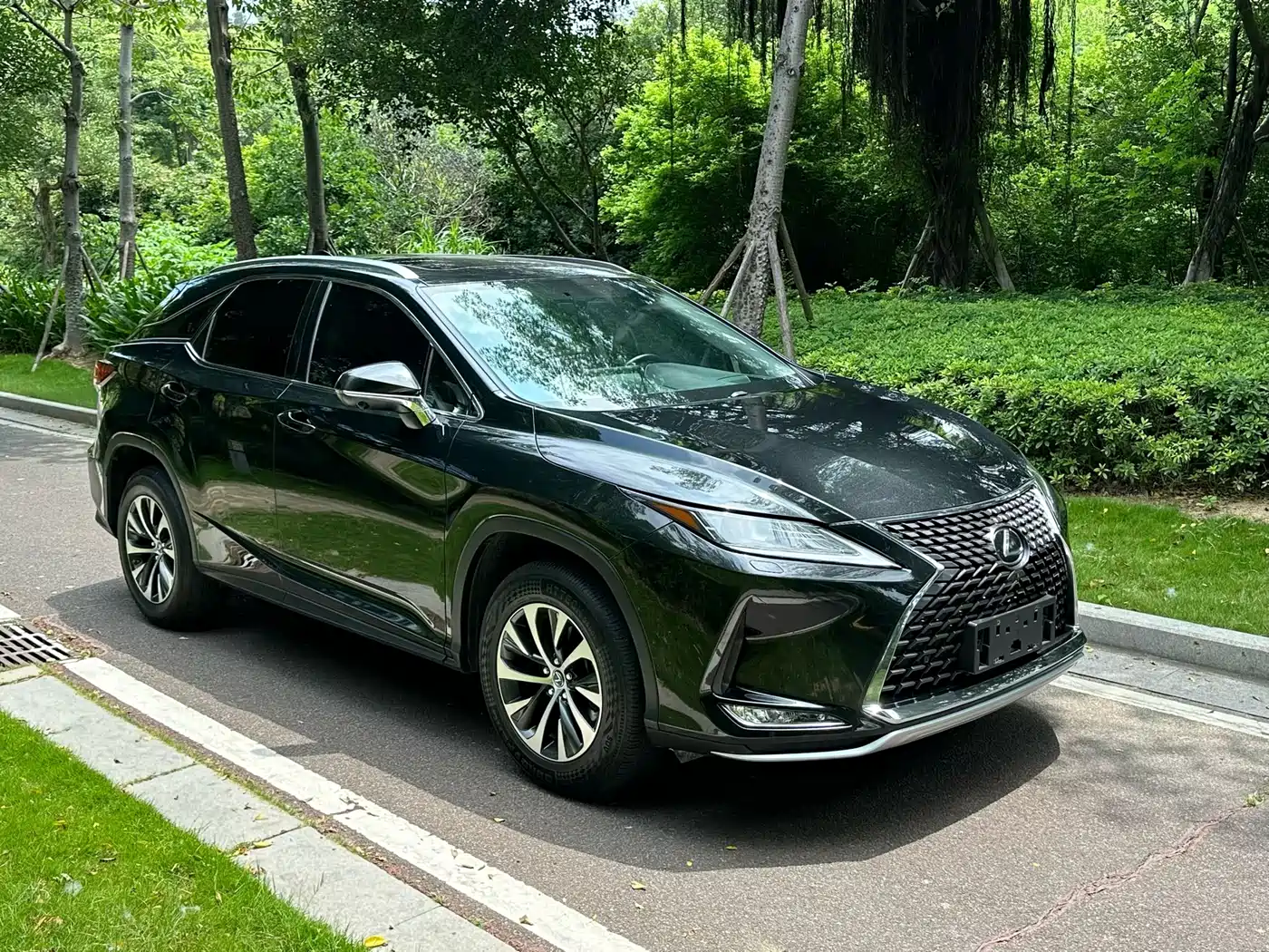 Lexus RX 2020 300 2WD Elite Edition China VI фото 3