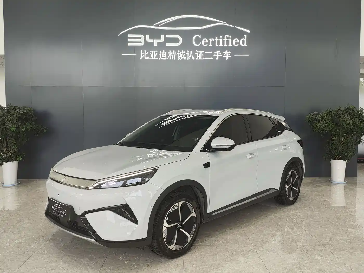 BYD Yuan PLUS 2025 Smart Drive 510KM Surpass Edition