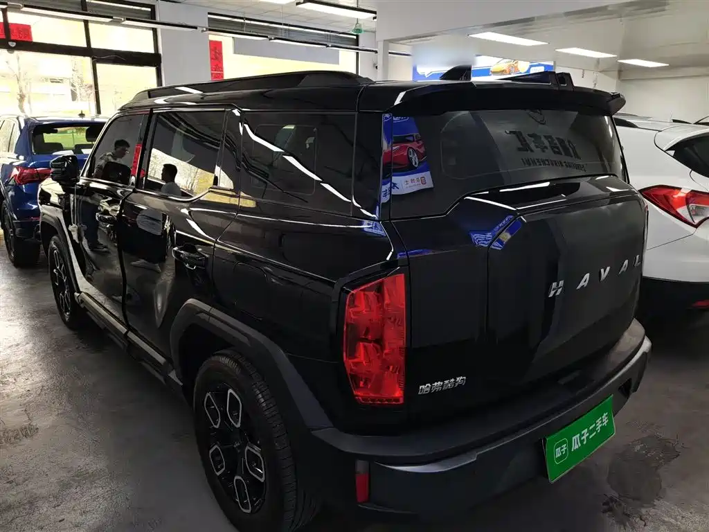 Haval Cool Dog 2022 1.5T DCT 2WD Trend Edition фото 23