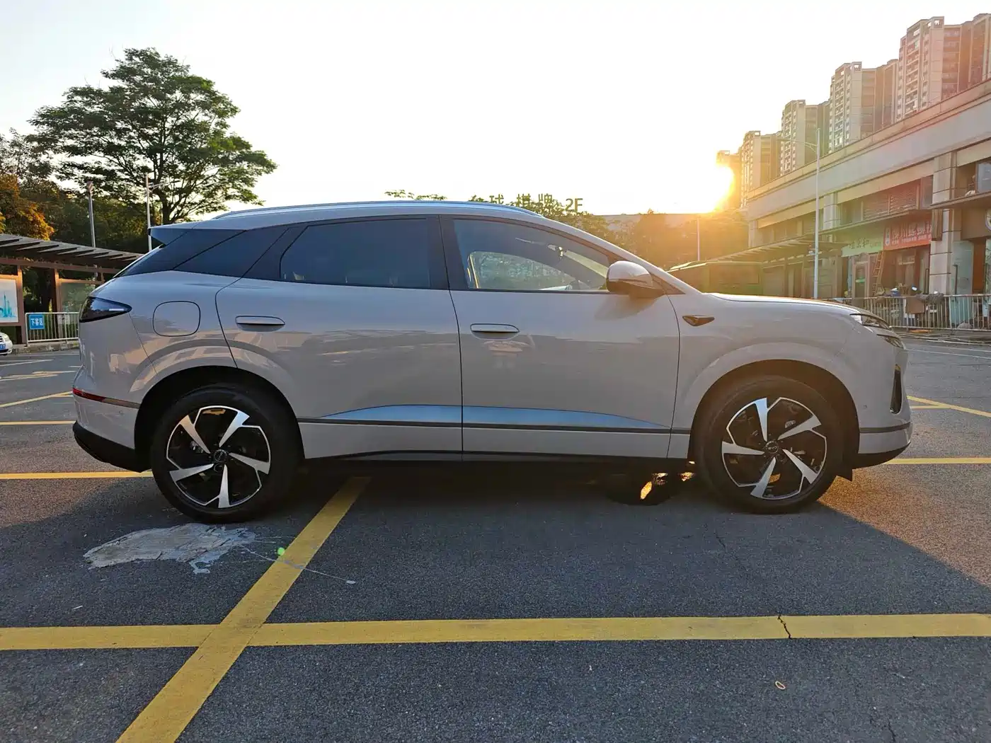 BYD Sealion 06 New Energy 2025 DM-i 170 Pilot Pro Edition фото 8