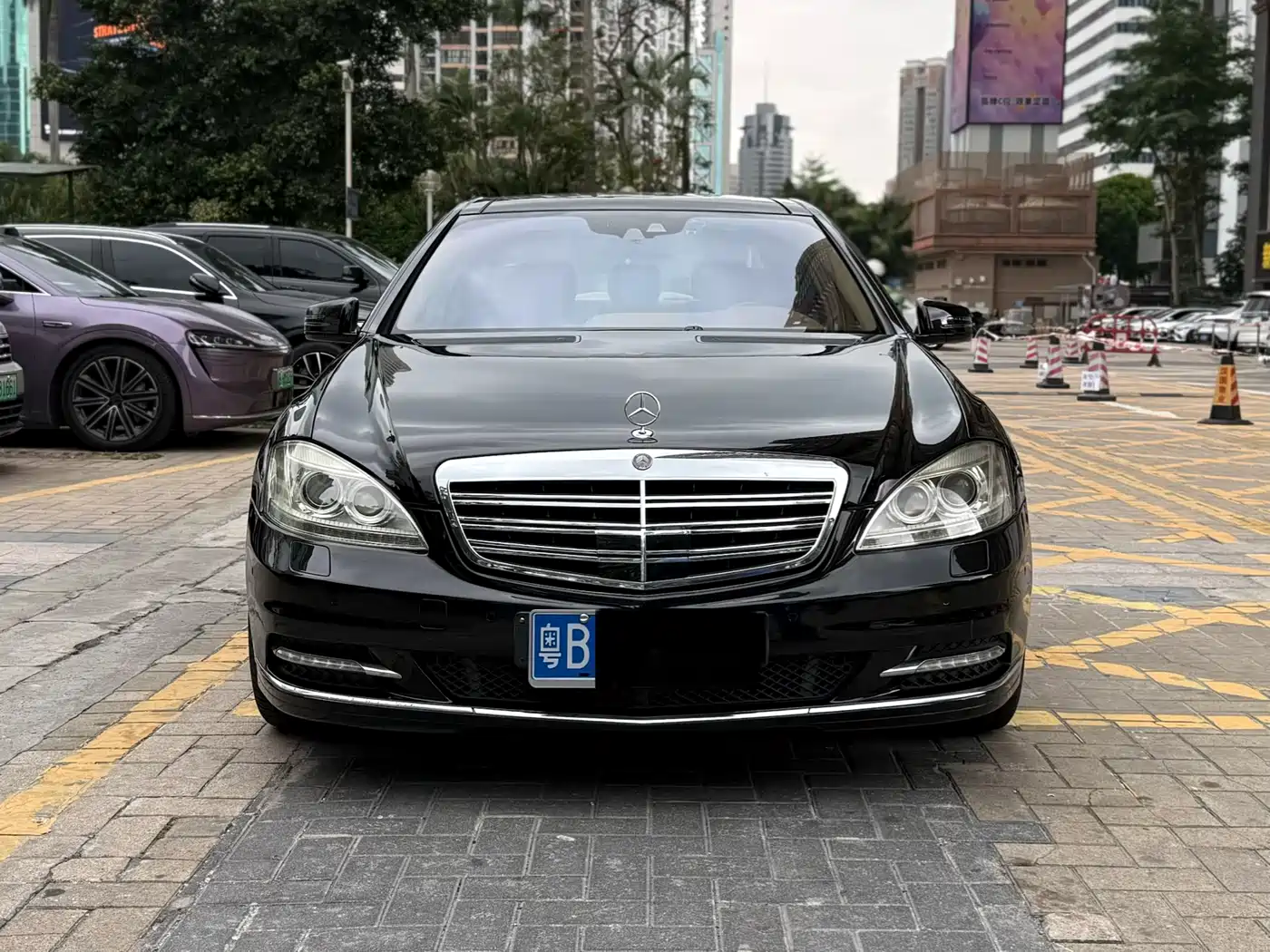 Mercedes-Benz S-Class 2010 S 600 L фото 2