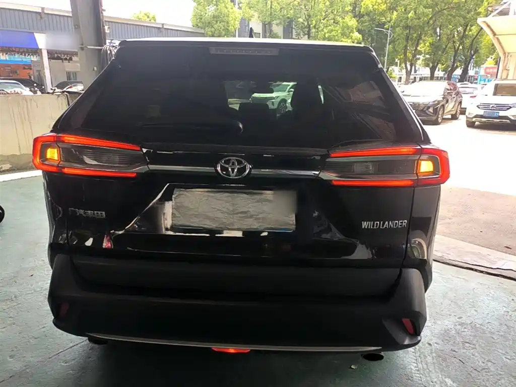 Toyota Wildlander 2020 2.0L CVT 2WD Luxury Edition фото 6