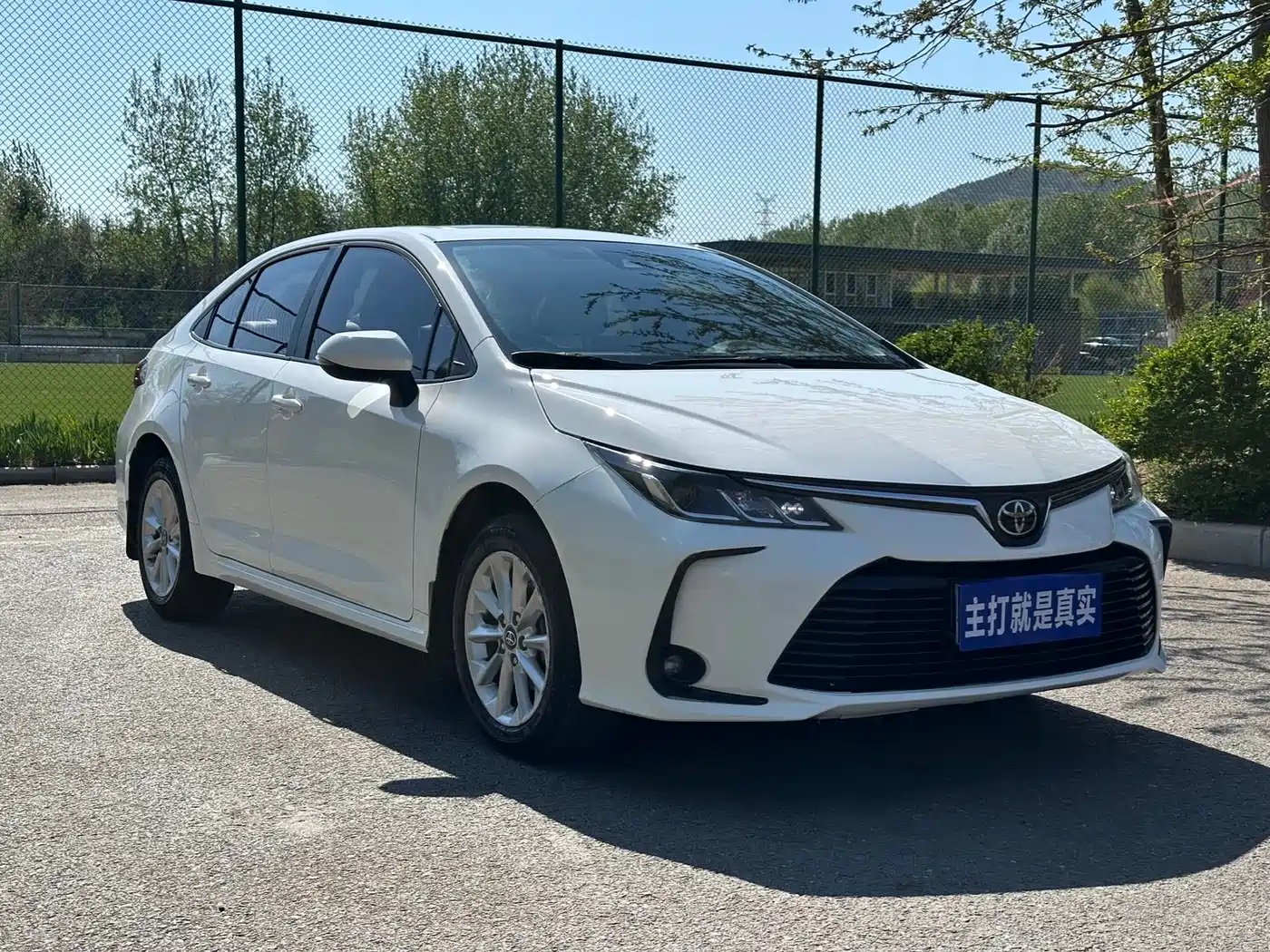 Toyota Corolla 2023 1.2T Elite Edition фото 3