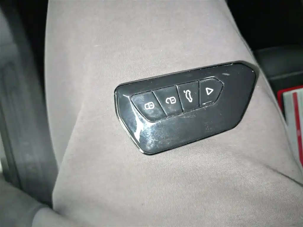 Haval H6 2022 3rd Gen 1.5T Auto 2WD Max фото 11