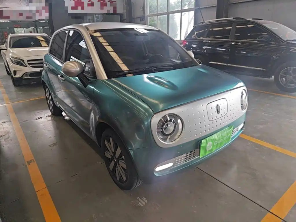 Ora Black Cat 2022 2022 351km Standard (NMC)