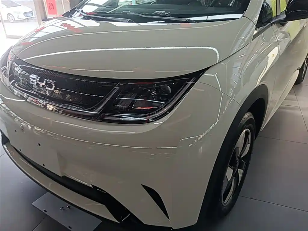 BYD Dolphin 2025 420km Freedom Edition фото 24