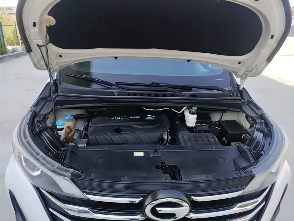 GAC Trumpchi Trumpchi M6 2019 270T DCT Luxury Edition (6-seater) (China VI) фото 20