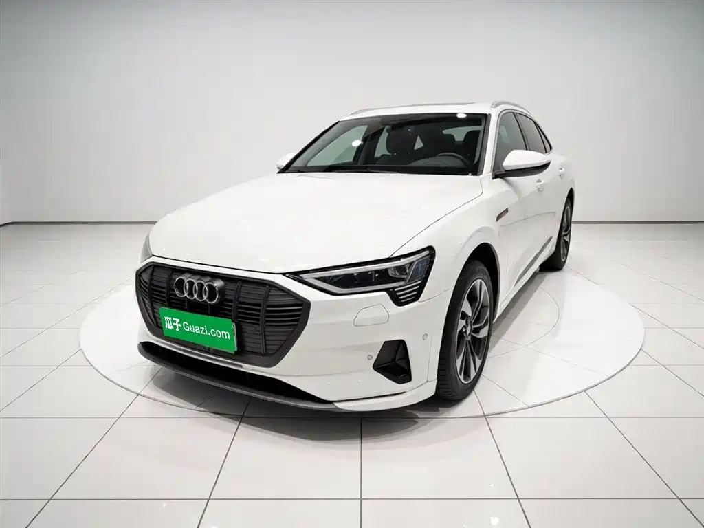 Audi e-tron (Import) 2019 55 quattro Technology