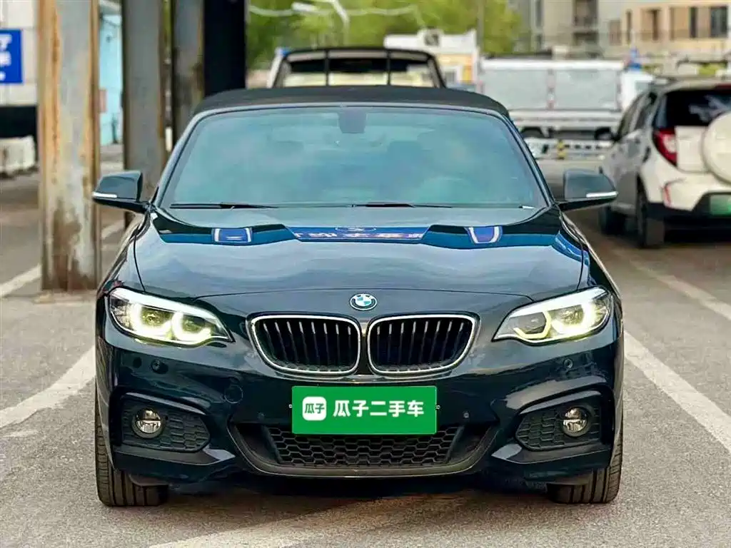 BMW 2 Series (Import) 2018 225i Convertible Coupe Premium M Sport Package фото 3