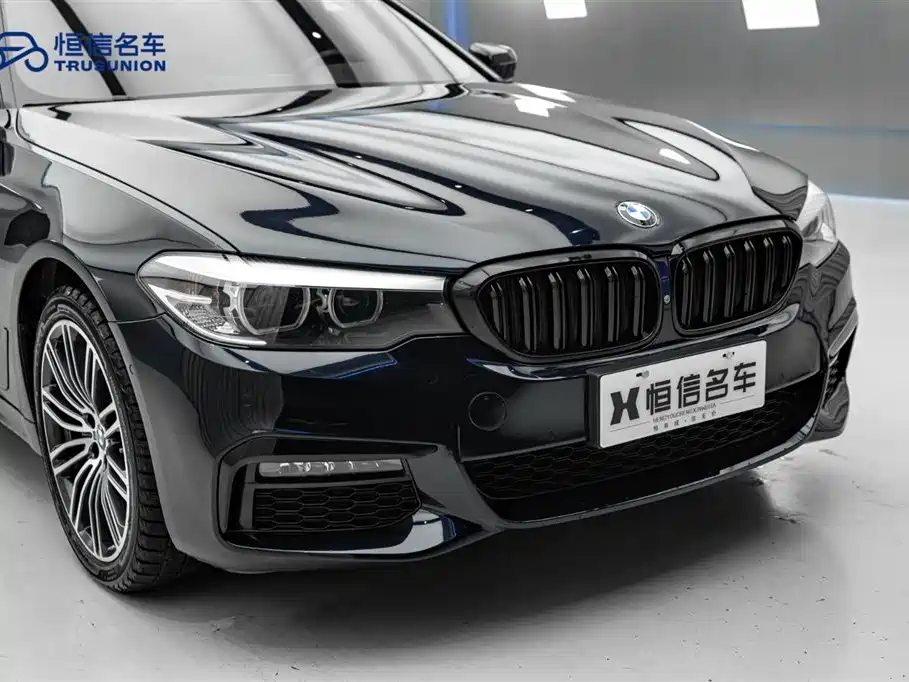 BMW 5 Series 2019 530Li xDrive M Sport Package фото 6
