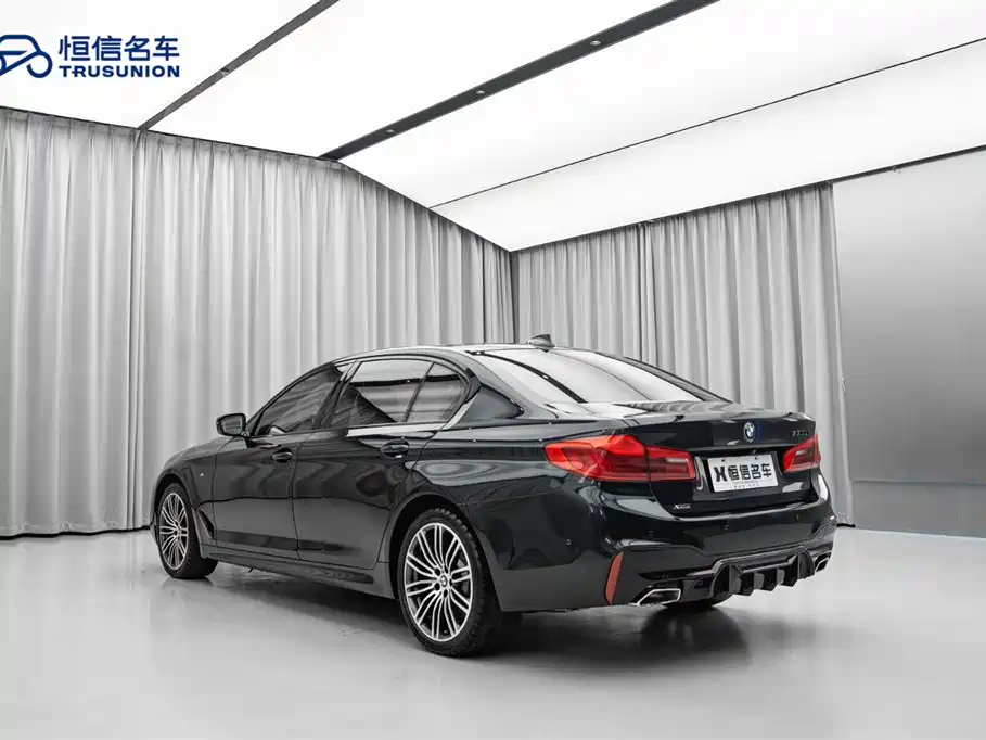 BMW 5 Series 2019 530Li xDrive M Sport Package фото 11