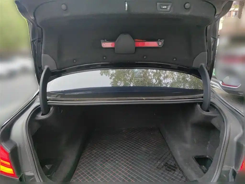 BMW 5 Series 2020 530Li Leading M Sport Package фото 15