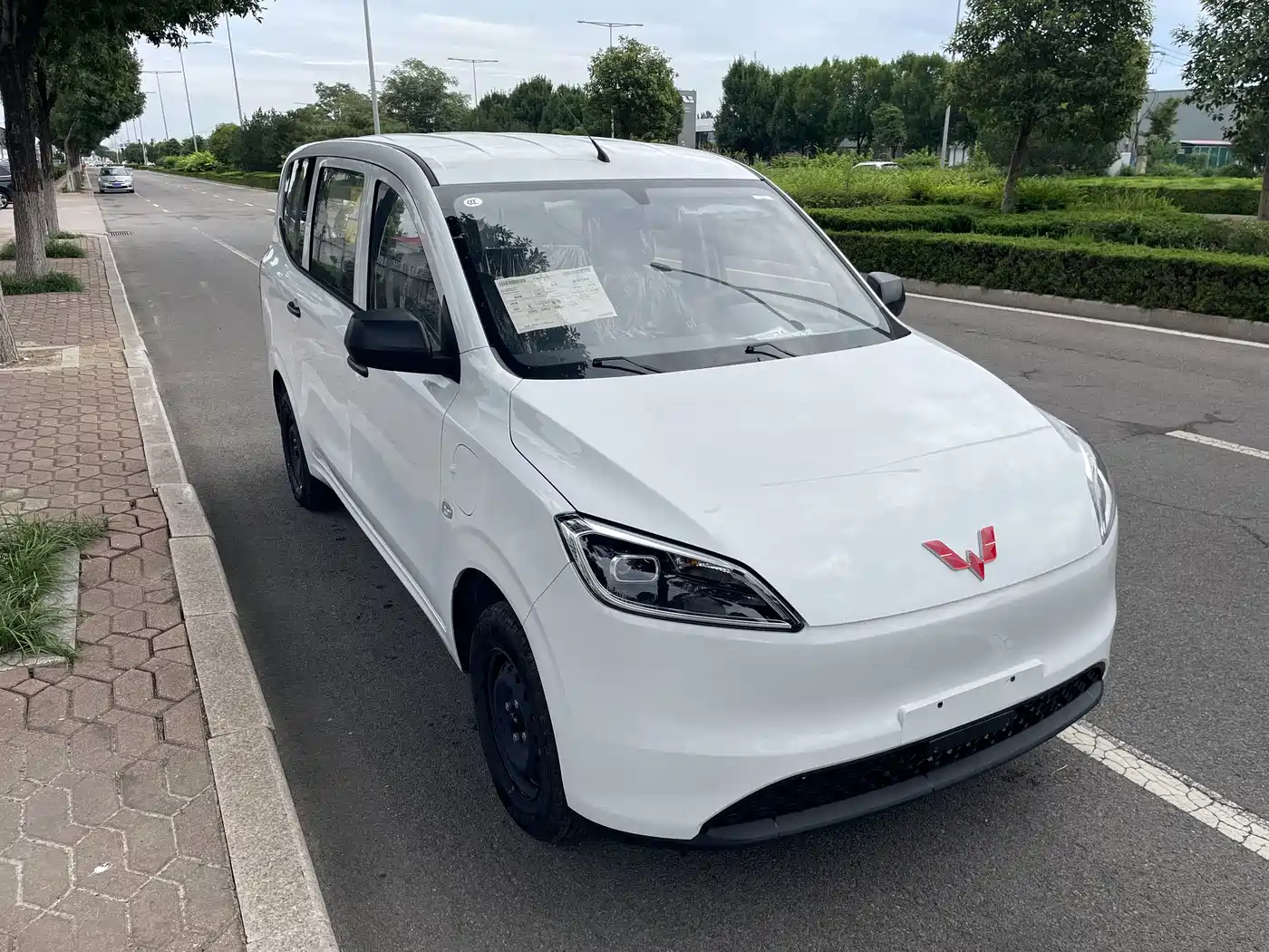 Wuling Motors Wuling Hongguang New Energy 2026 2024 Pure Electric 300KM Standard