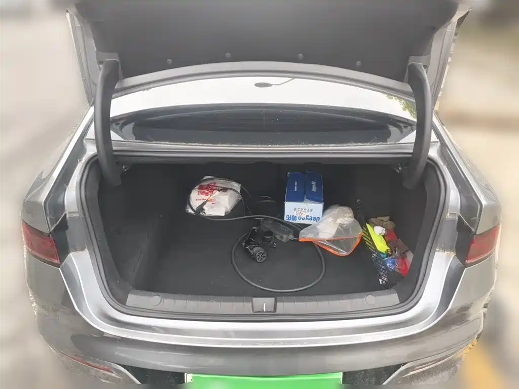 BYD Qin PLUS 2023 Champion Edition DM-i 55KM Leading фото 15