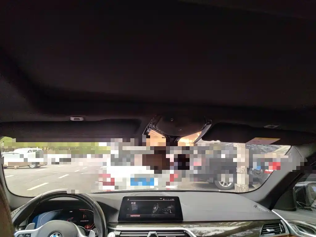BMW 5 Series 2020 530Li Leading M Sport Package фото 14