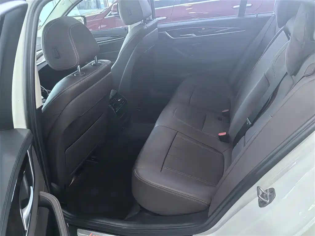 BMW 5 Series 2019 525Li Luxury Package фото 21