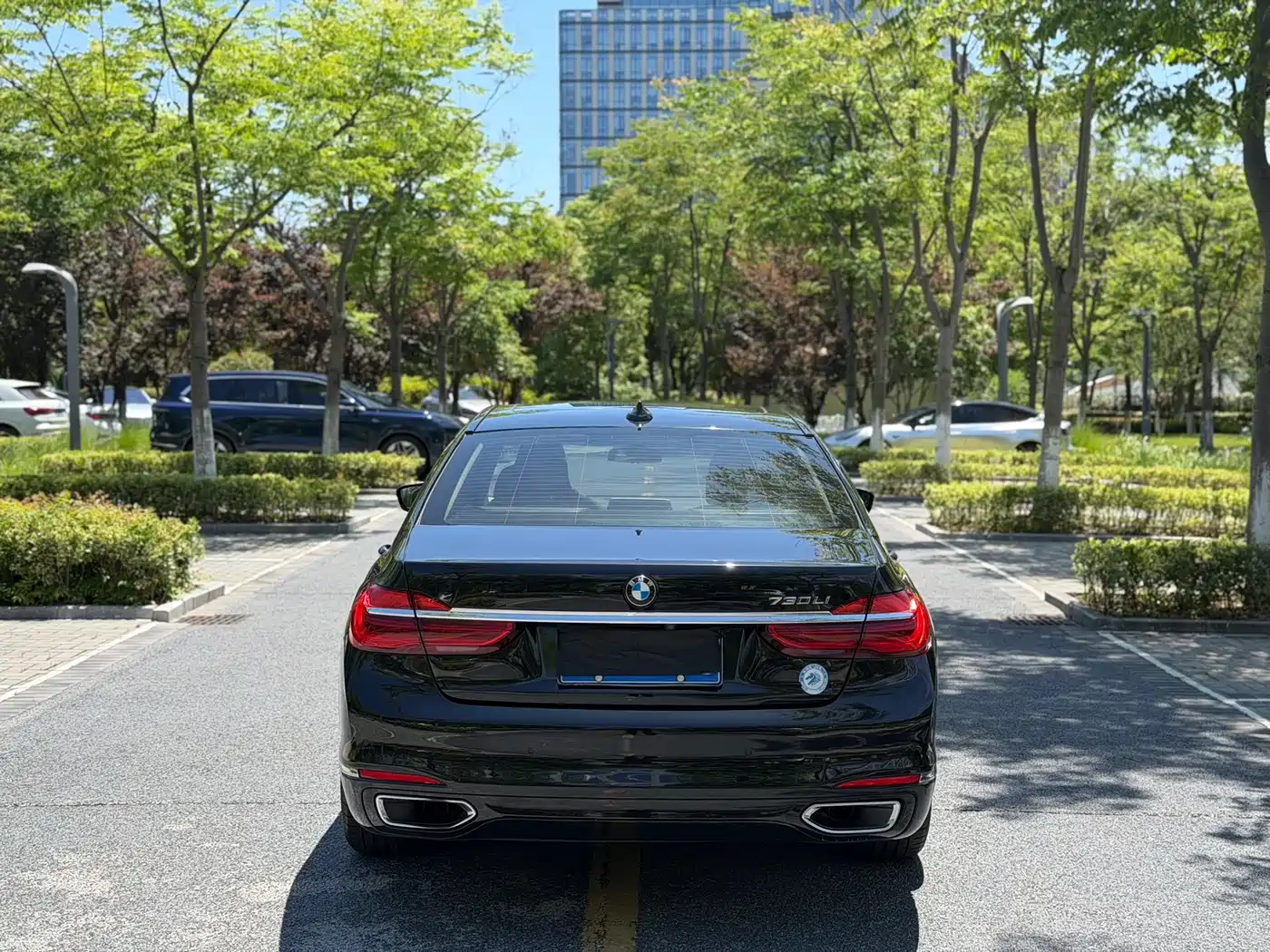 BMW 7 Series 2016 730Li Leading фото 15
