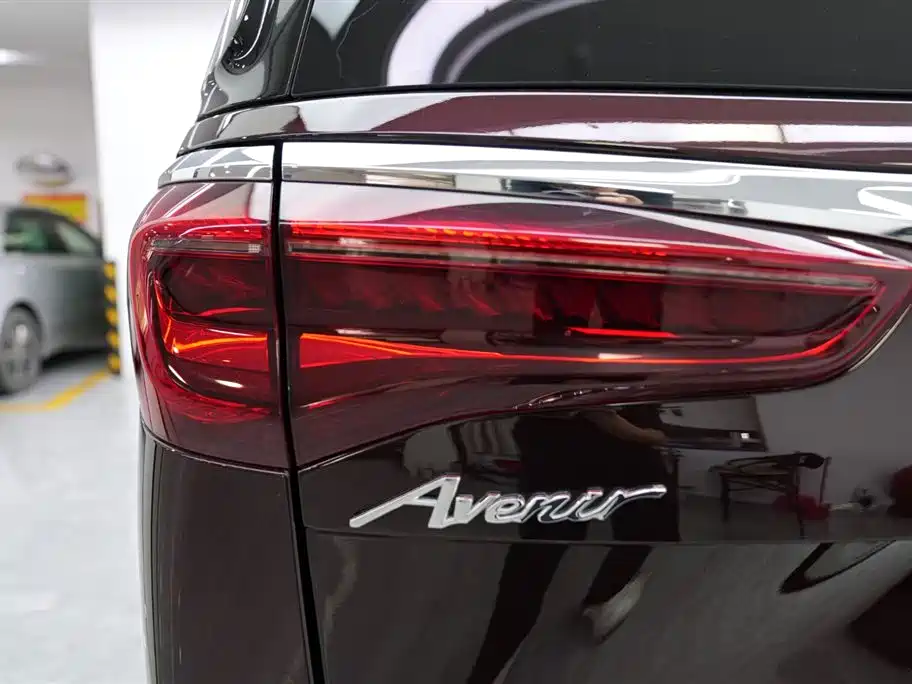 Buick GL8 2020 Avenir Six-Seat Elegance Edition фото 16