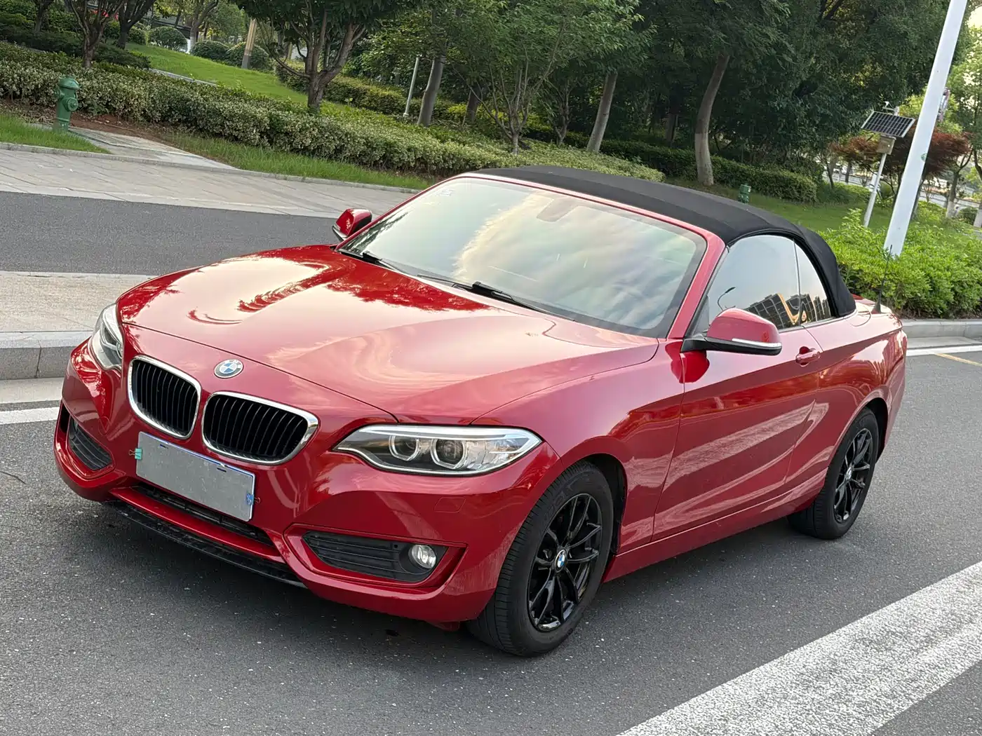 BMW 2 Series (Import) 2015 218i Convertible Coupe