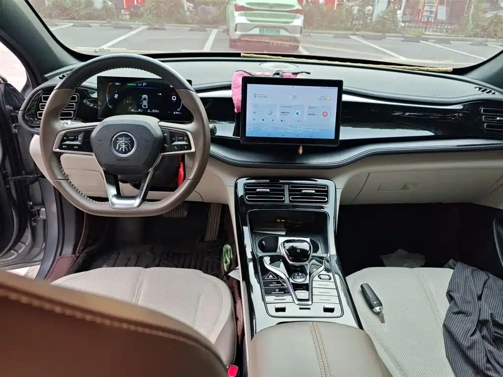 BYD Qin PLUS 2024 Glory Edition DM-i 55KM Leading фото 5