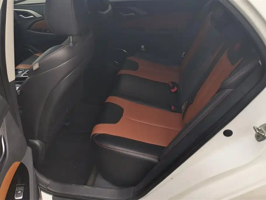 BYD Qin New Energy 2015 1.5T Double Champion Flagship Plus фото 11