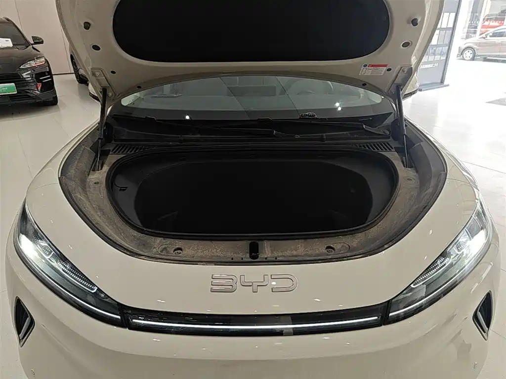 BYD Hai Shi 05 EV 2025 520KM Smart Navigation Edition фото 20