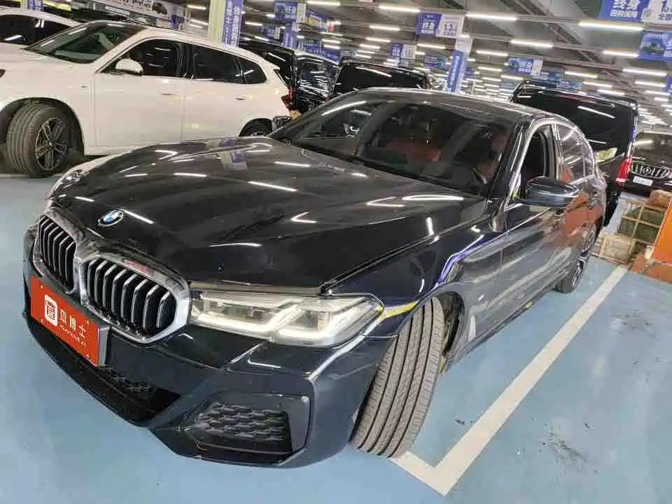 BMW 5 SERIES