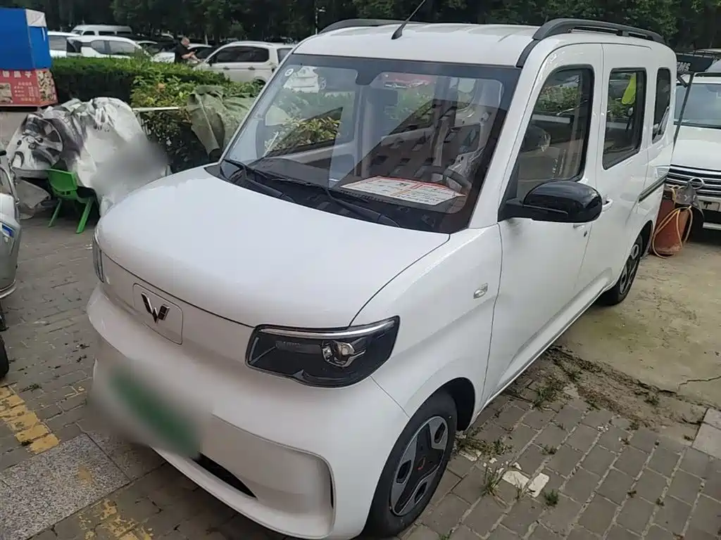 Wuling Motors Wuling Zhiguang NEV 2025 Model 305km Base Version
